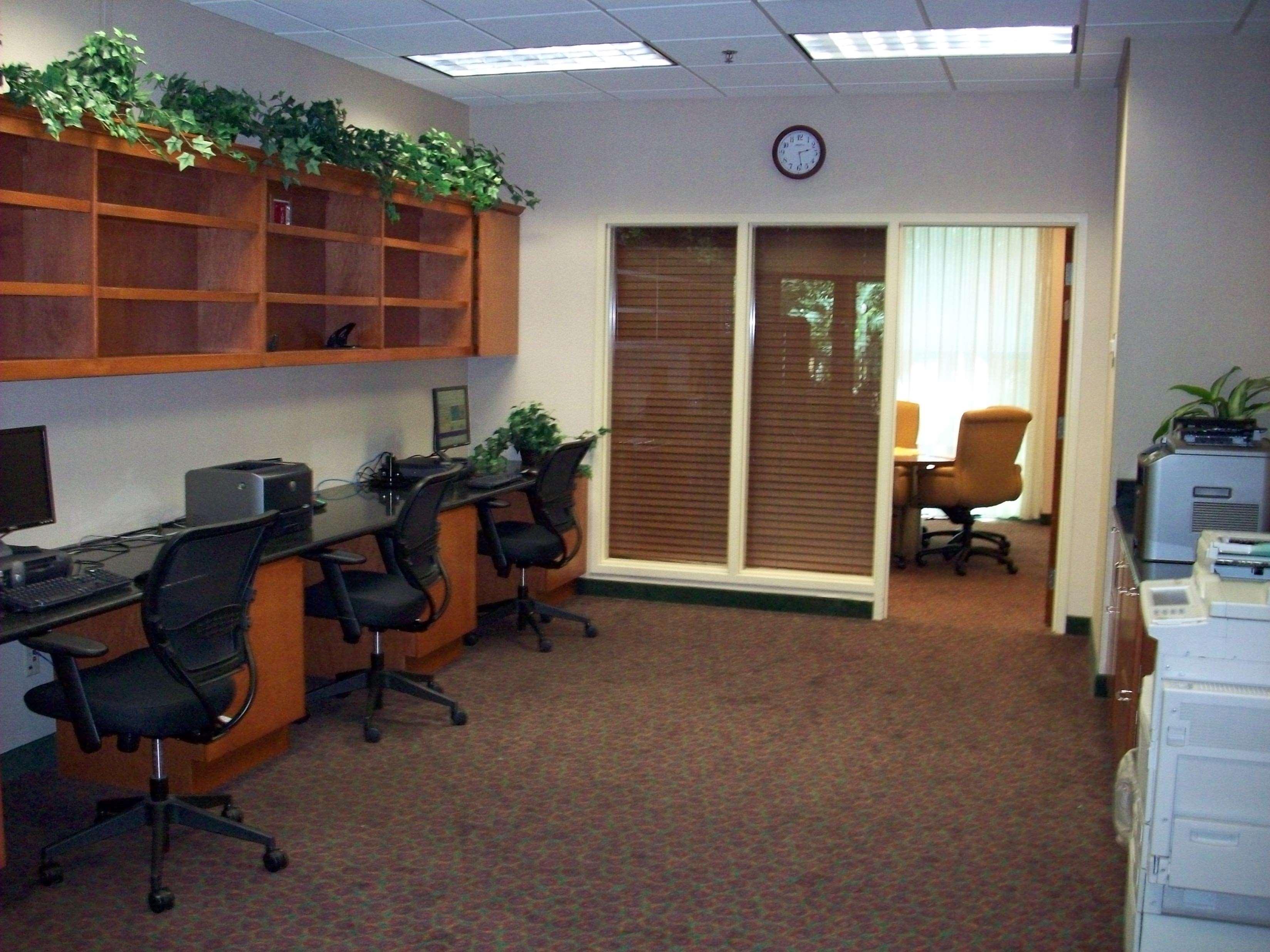 Embassy Suites By Hilton Tampa Usf Near Busch Gardens Удобства фото